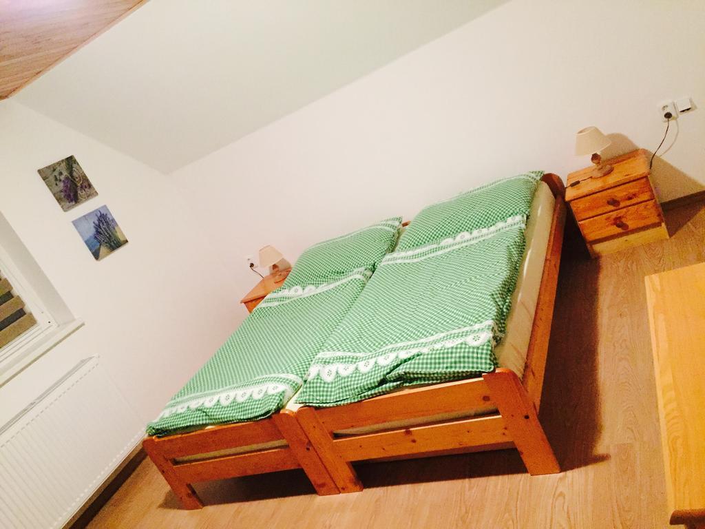 Apartment U Andela Dlouhá Ves 외부 사진